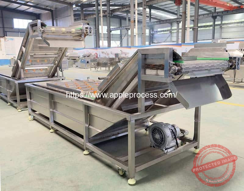 Autmatic-Fruit-Vegetable-Apple-Air-Bubble-Water-Washing-Machine-for-Carrot-Potato-Corn-Garlic-Onion