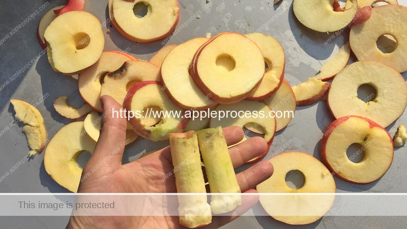 Automatic-Apple-Core-Removing-and-Apple-Chips-Slicing-Machine