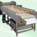 Brush Type Apple Washing Cleaning Machine