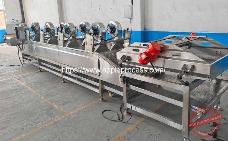 Automatic-Fresh-Apple-Air-Blow-Water-Removing-Machine-with-Vibrate-Water-Remover