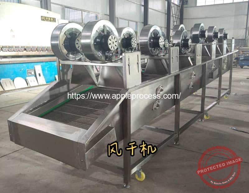 Stainless-Steel-Fan-Apple-Air-Blow-Water-Removing-Machine
